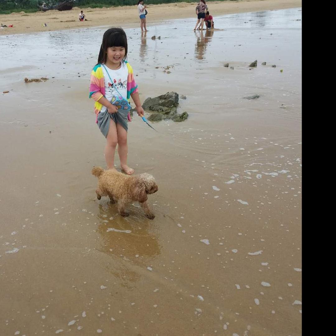 数学陈老师.  一对一专业指导