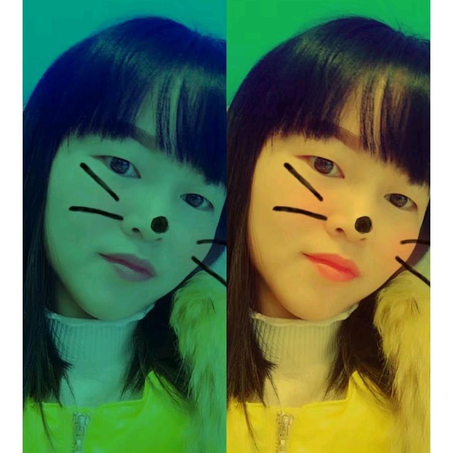 💜薰🌸衣🌺草🌾