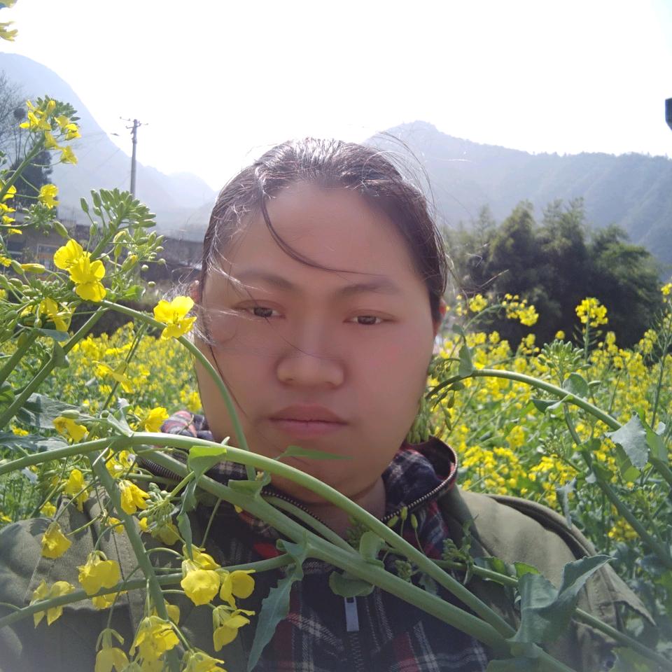 飘落de枫叶