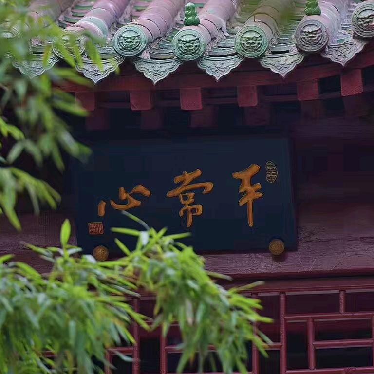 抖音里的无名小辈