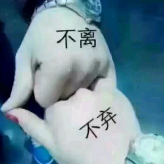 用户2890456006403