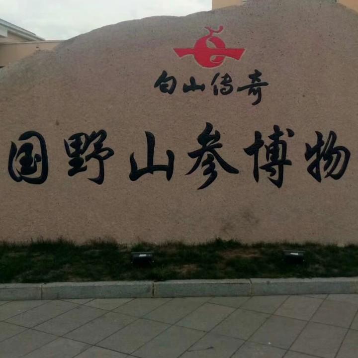 长白山龍诚参茸特产