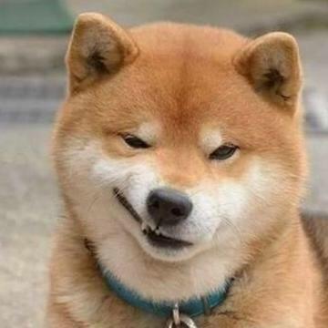 秋天的树