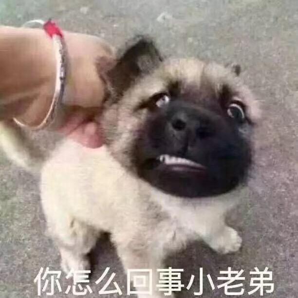 道法自然