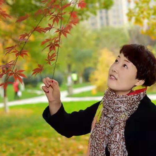 手机用户62328931047