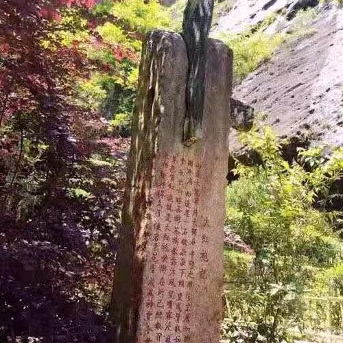 小草绿色