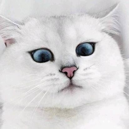 敏