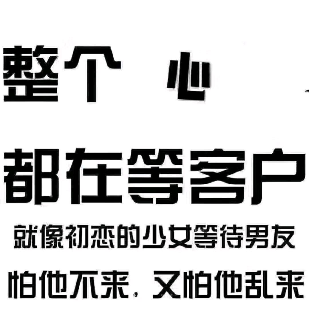 小白白