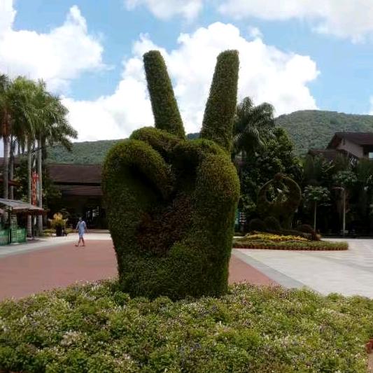 龙
