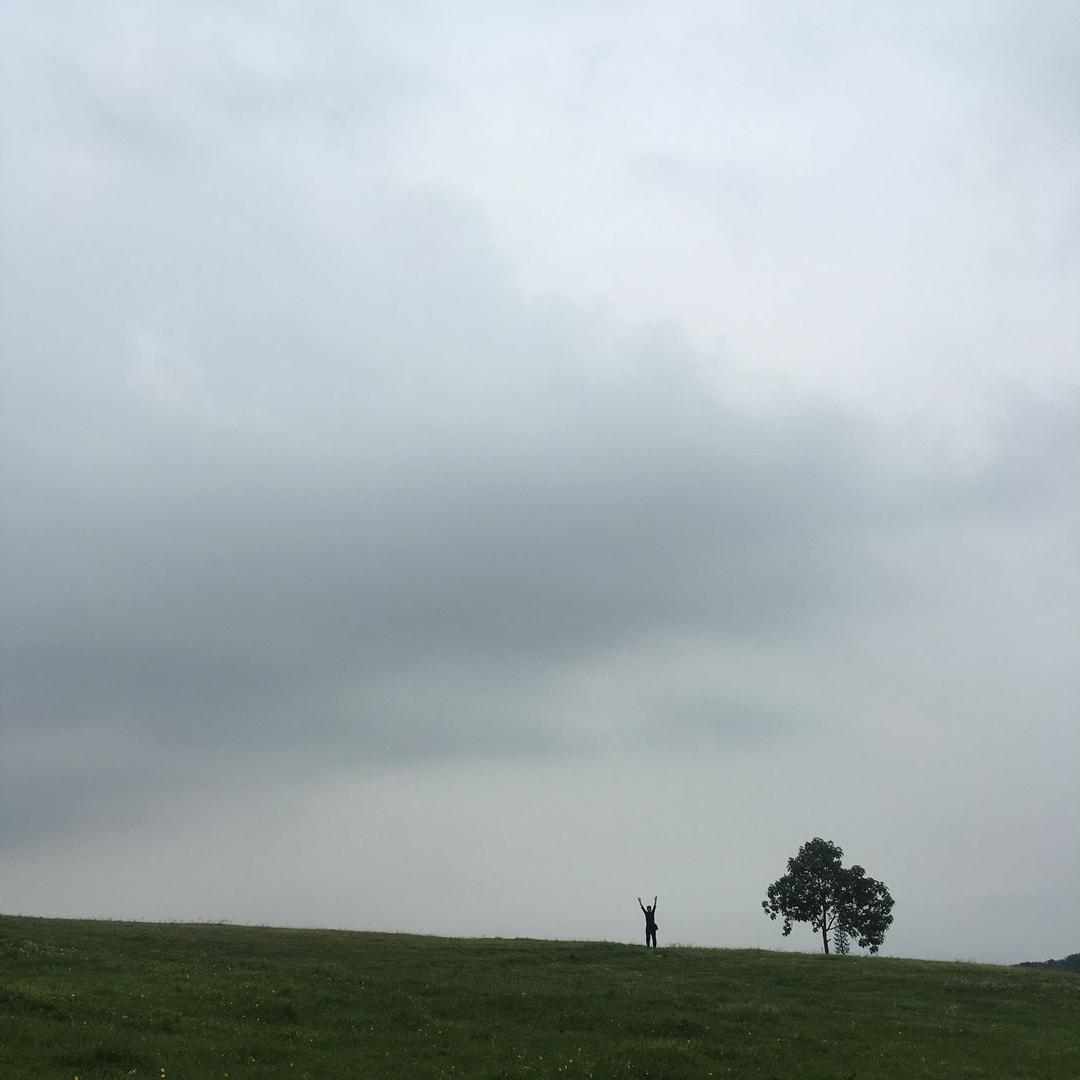 阳光明媚