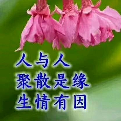 ℋღ᭄幽兰🍒烟雨᭄梦💞࿐