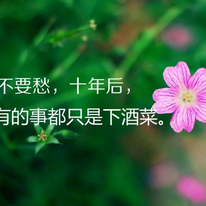 《梅》开眼笑