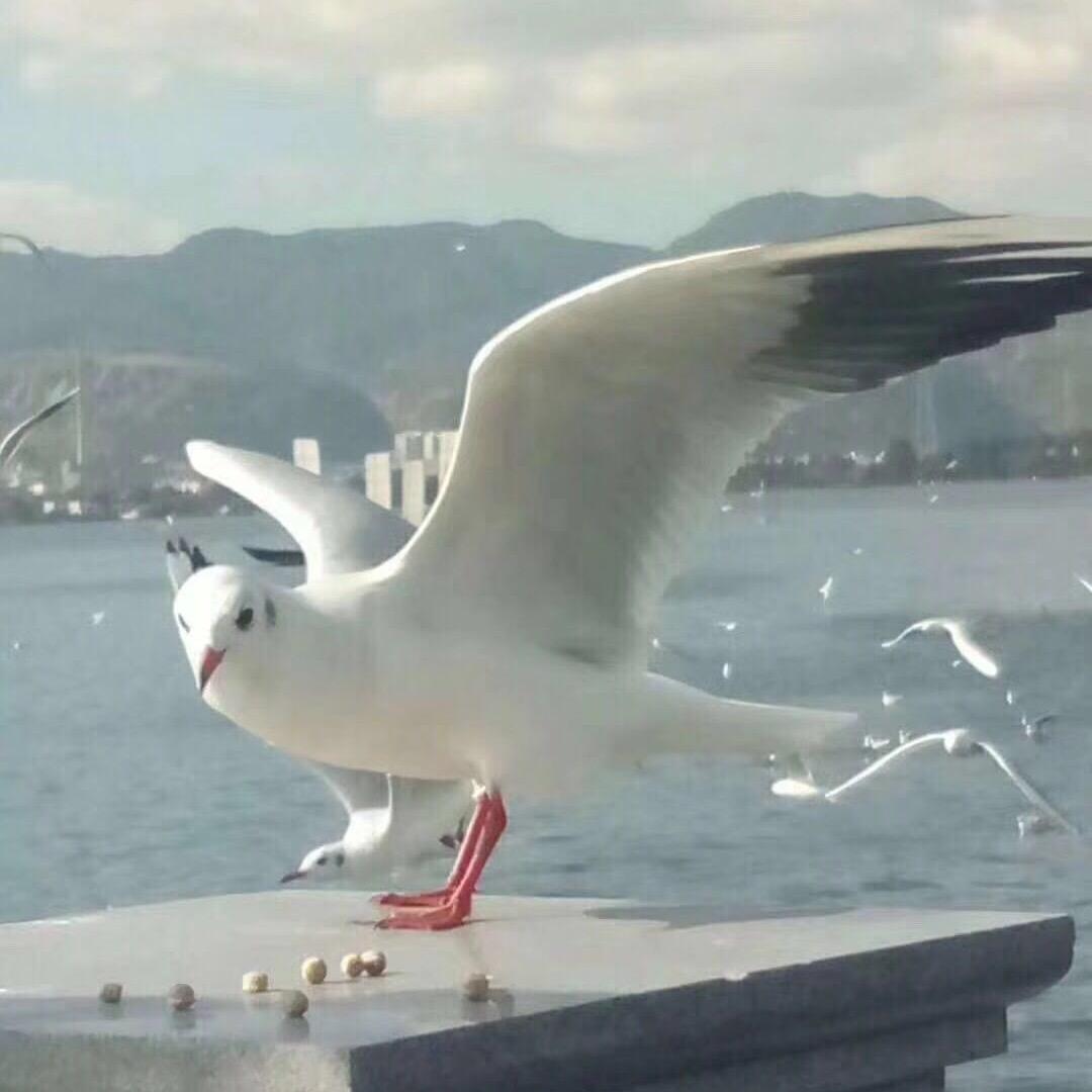 海阔天空