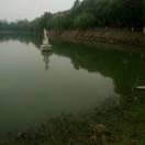 兴兴向Rong