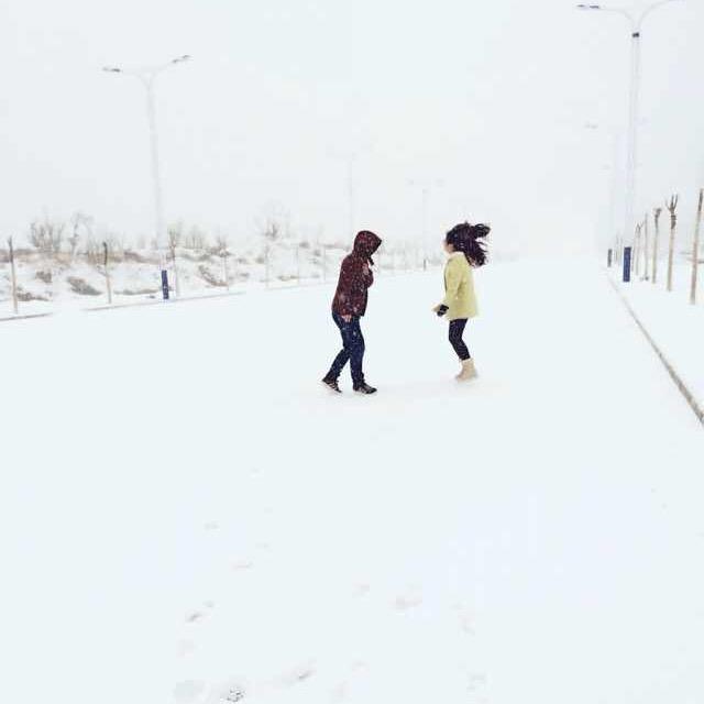 Bo.bo｀
