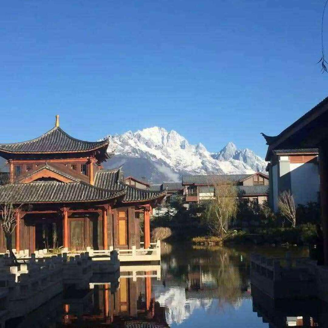 ༺陈༒冰༻®