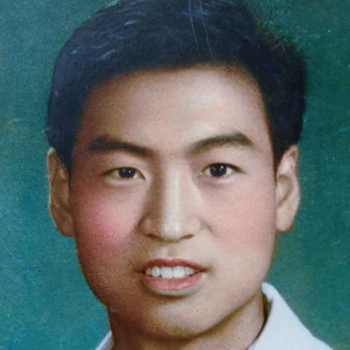 不老松