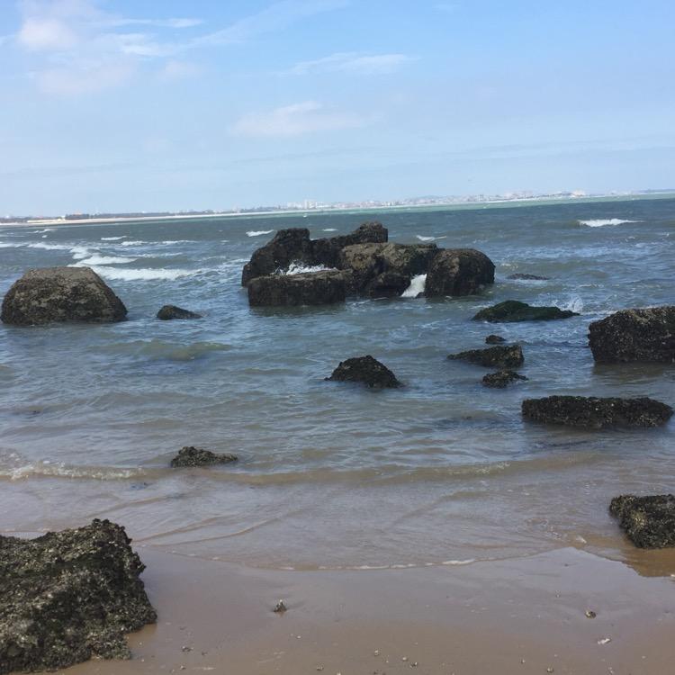 做个文化的生意人