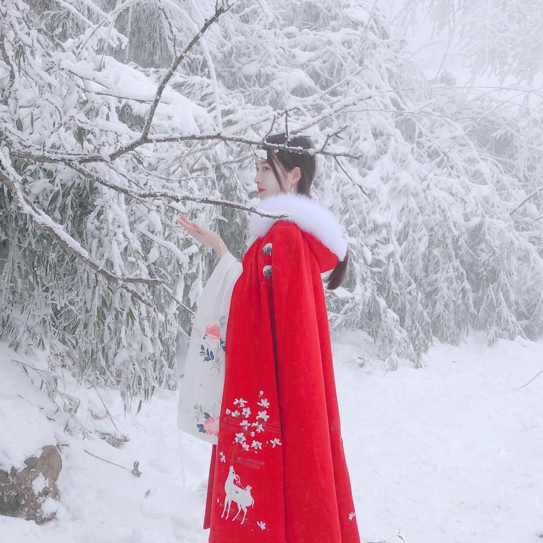零青子