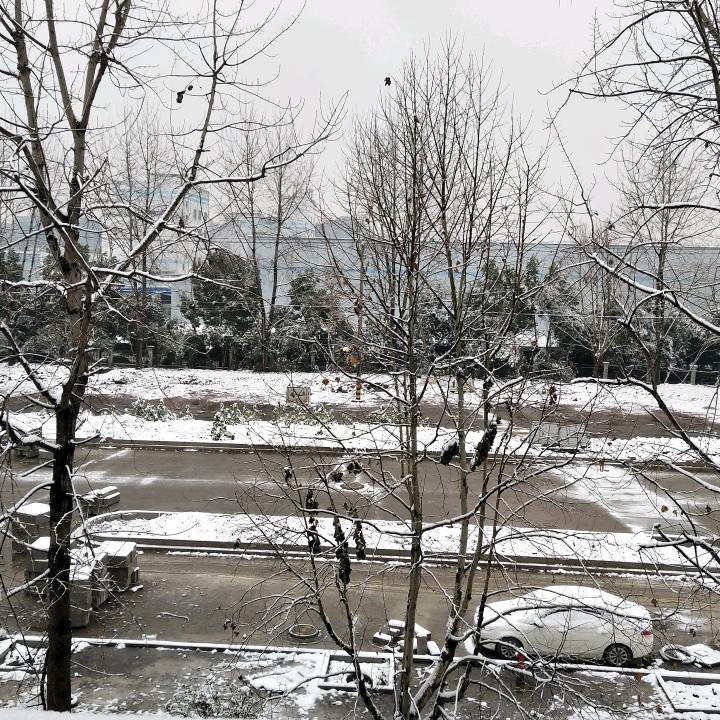 胖胖的加菲猫。