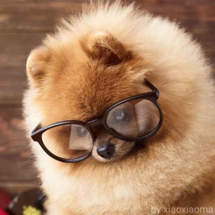 像鸟儿一样自由的飞翔