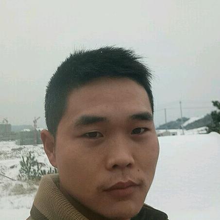 会飞的鱼鱼