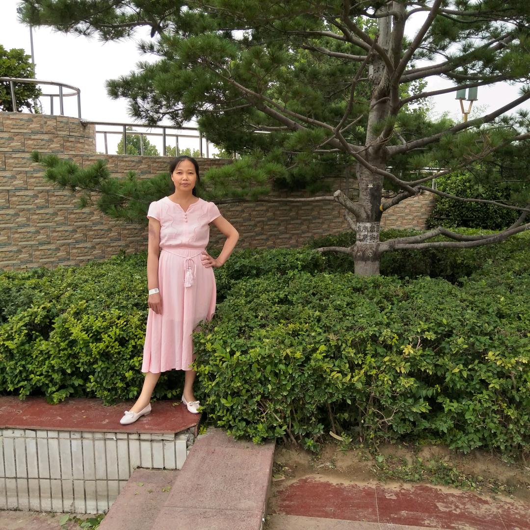 刘进婵