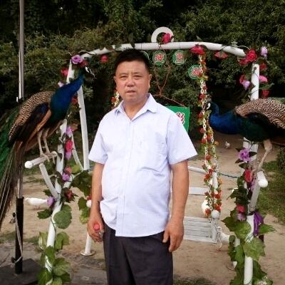 荣柱