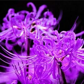 一个人&的@浪子