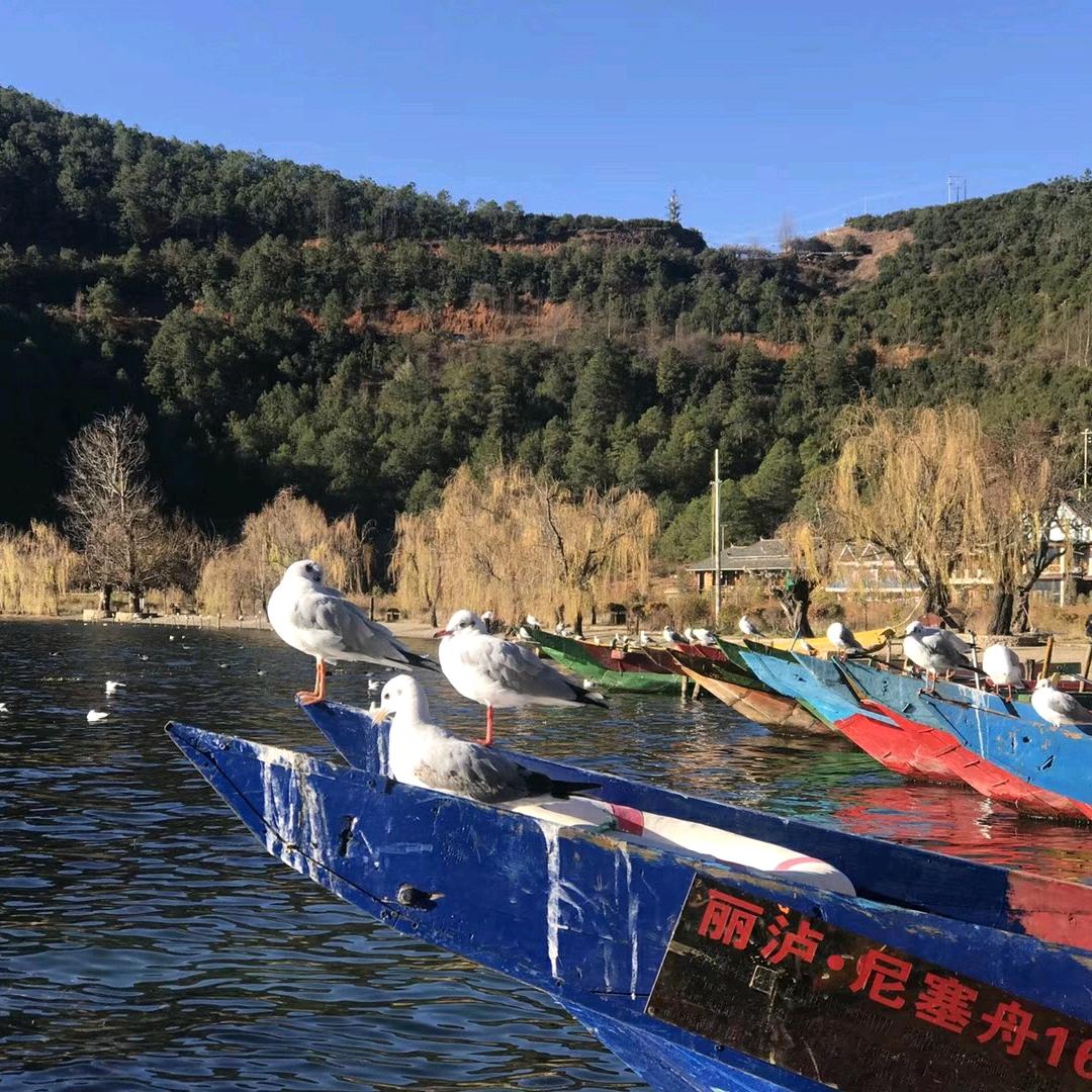 木干忍 1350888609