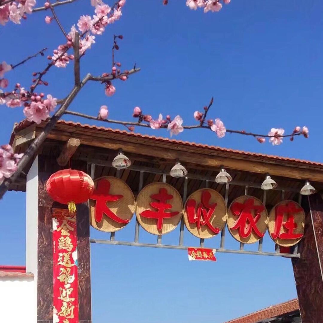 大丰收农庄