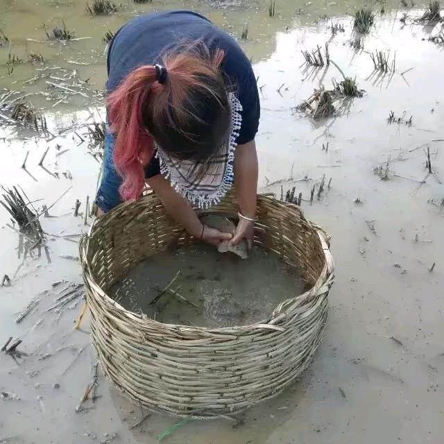 陪敏99