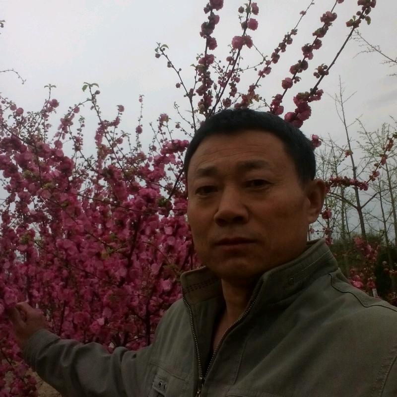 年轻真好