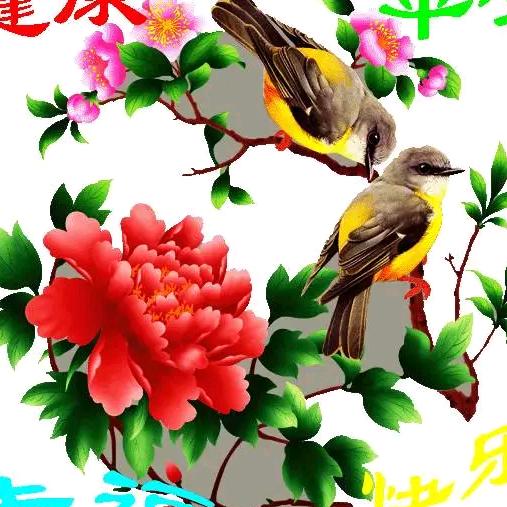 淡定