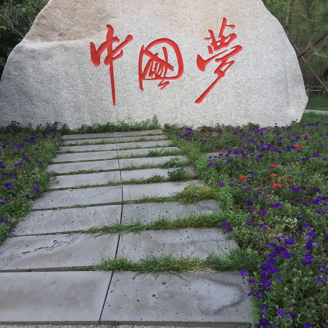 顽皮的小不点