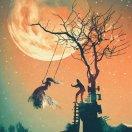 张店双惠宾馆超市