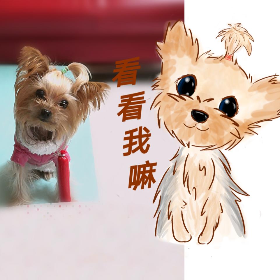 丫丫