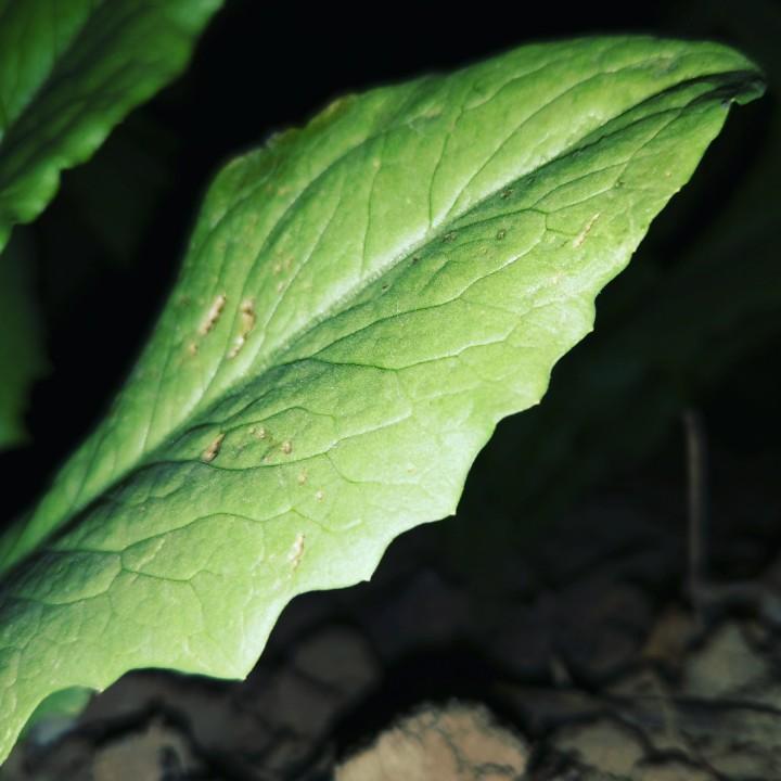 破茧重生