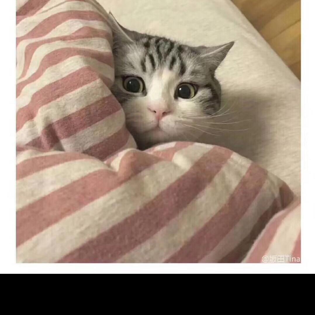 👄小雪雪