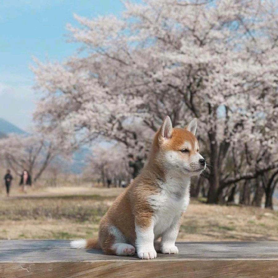 之江✨⁰⁹⁰⁹
