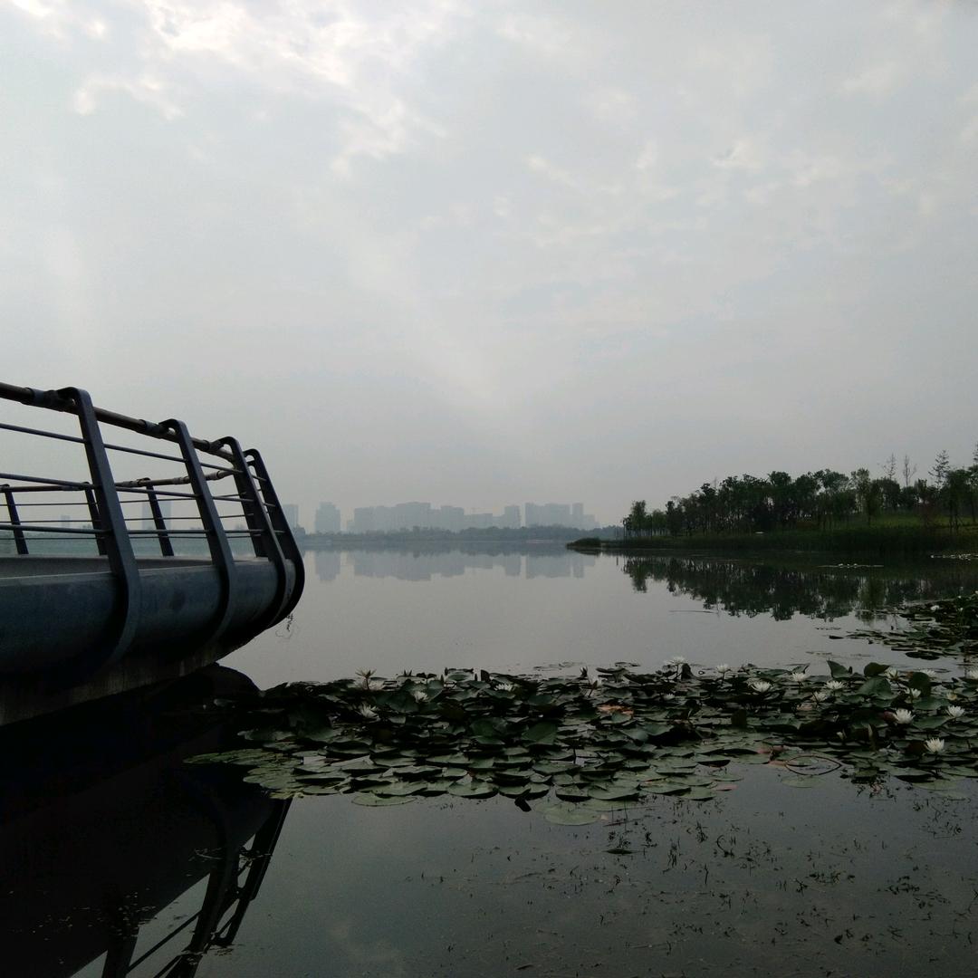 伊束阳光