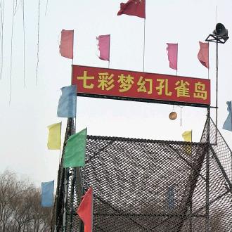 龙门孔雀岛游乐园