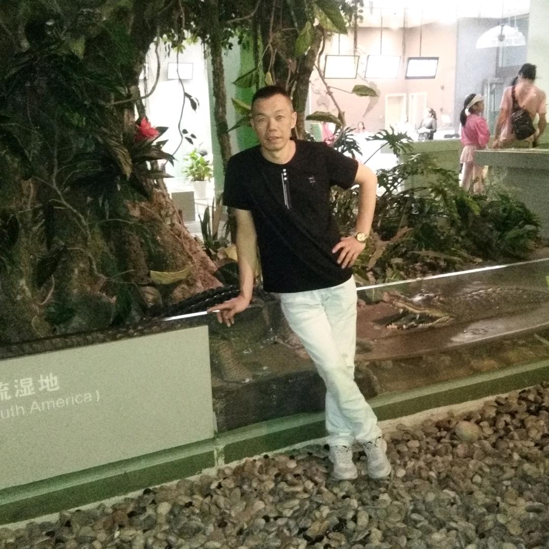赵哥