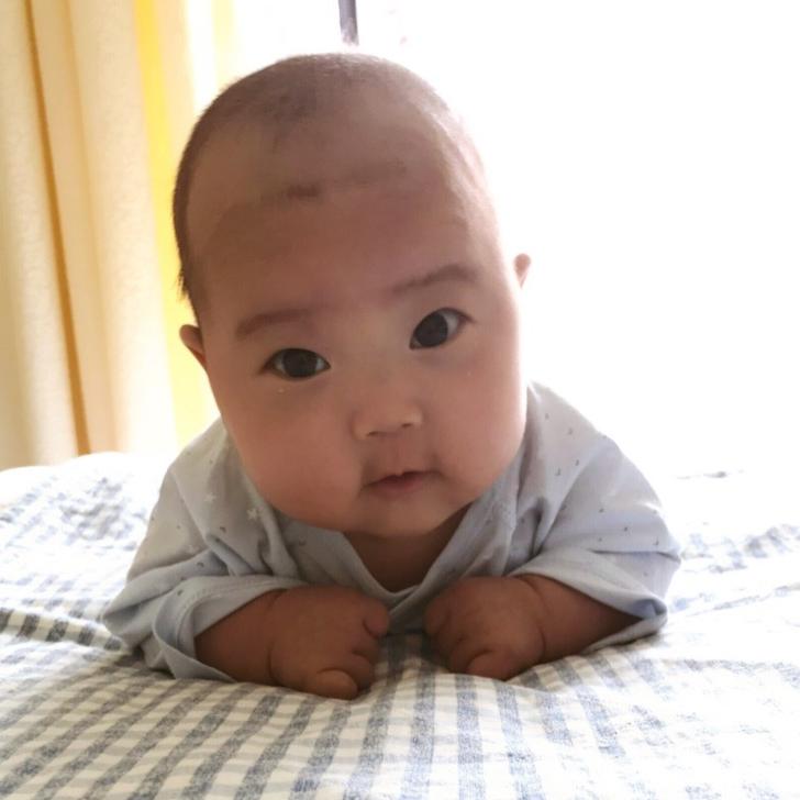 尧尧呼呼