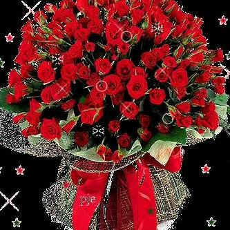 ♥岁月༃无恙♥