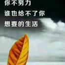 一生一世，草木一春