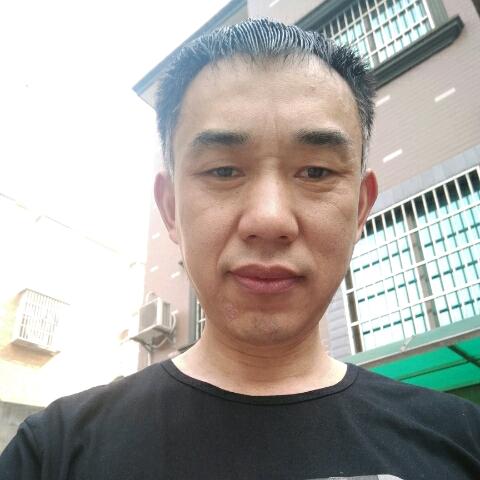 为你停刘