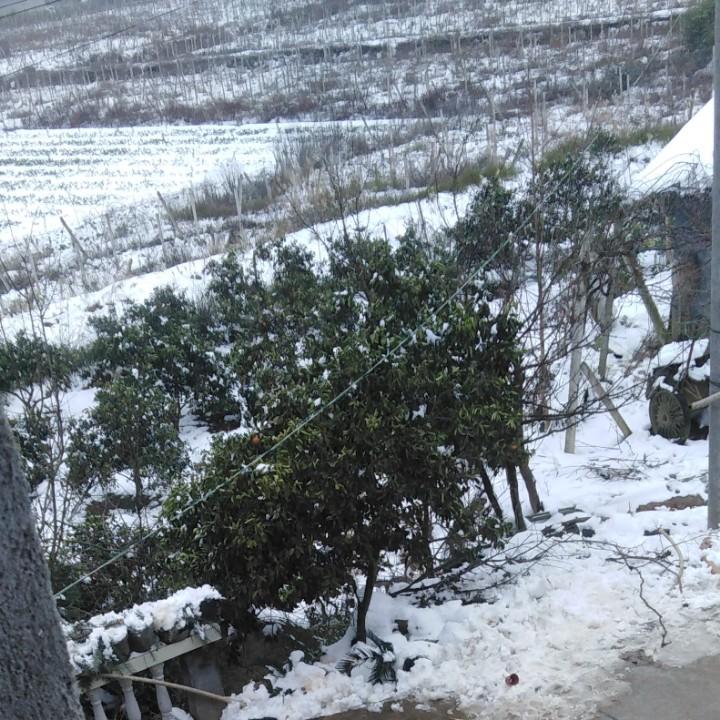 李华12345