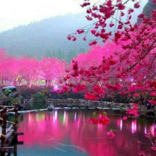 一抹阳光