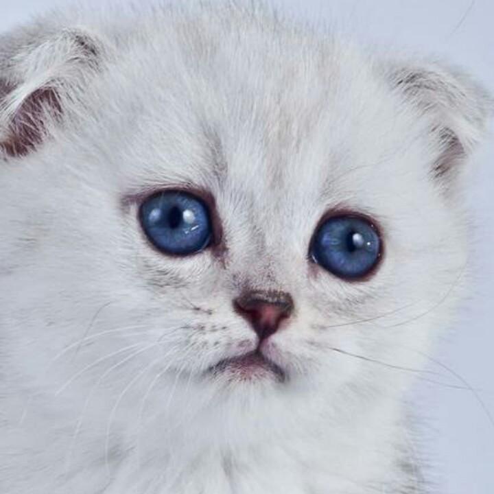 在水一方